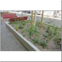 2020-05-25 Neulerchenfelderstrasse Pflanztrog 03.jpg